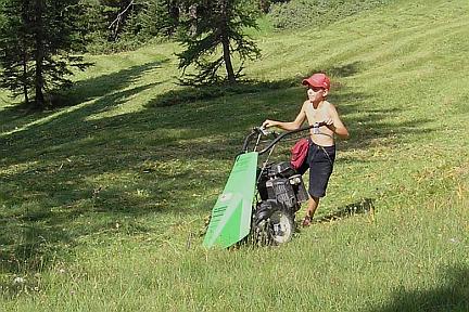  vergrößern / ingrandire 