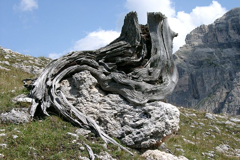  verkleinern / rimpicciolire 
