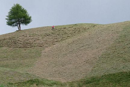  vergrößern / ingrandire 