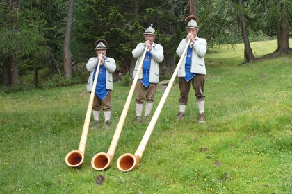  vergrößern / ingrandire 