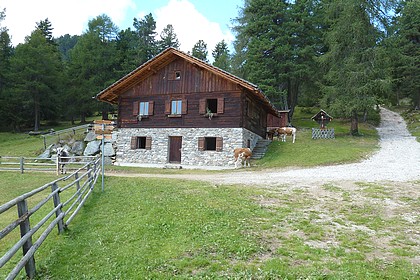  vergrößern / ingrandire 