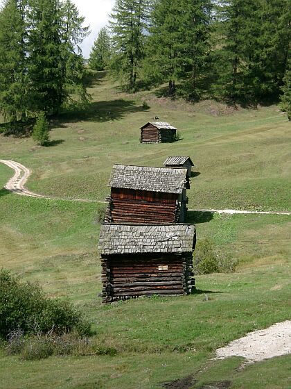  vergrößern / ingrandire 
