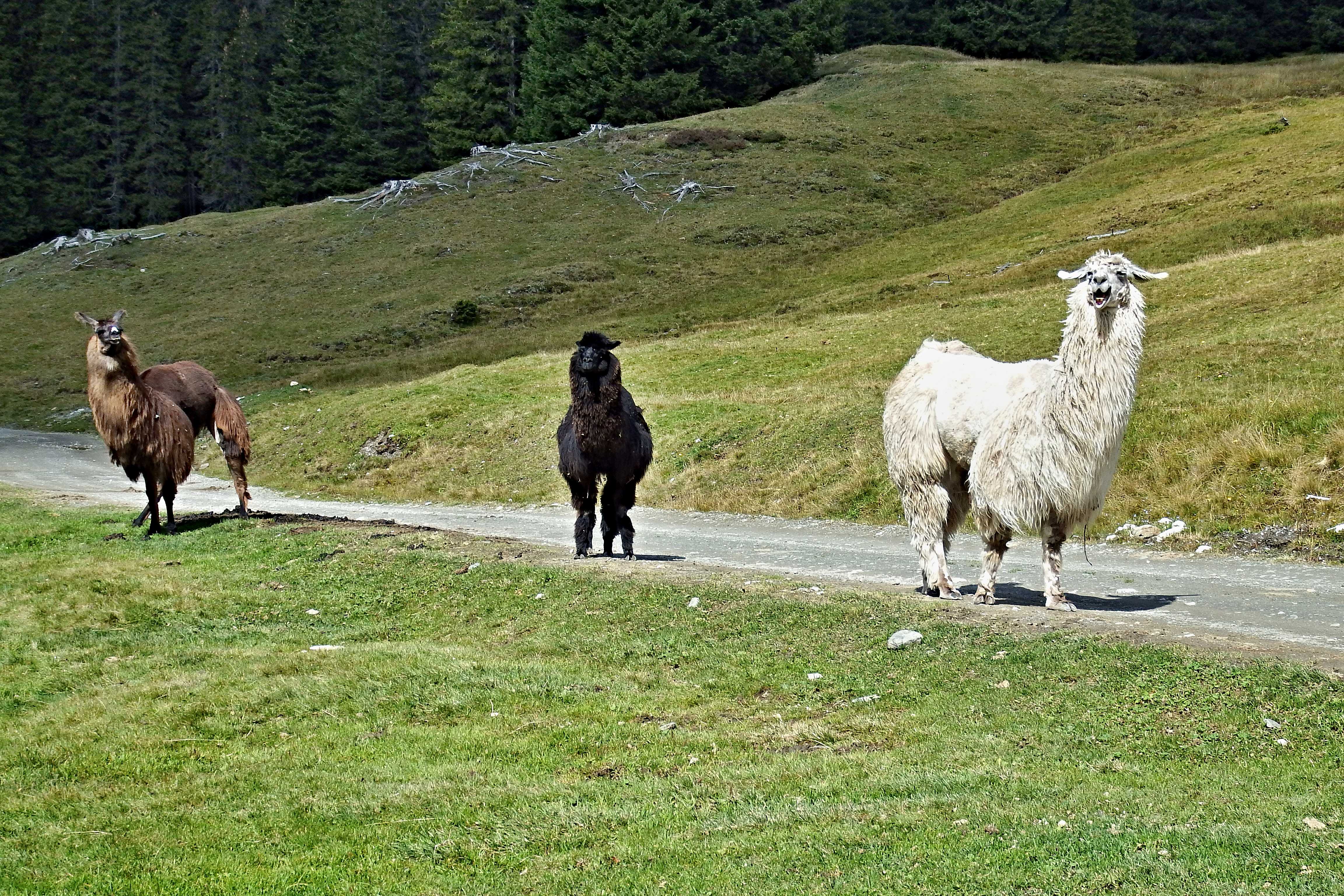   Klick: Zum "Bild 7" 