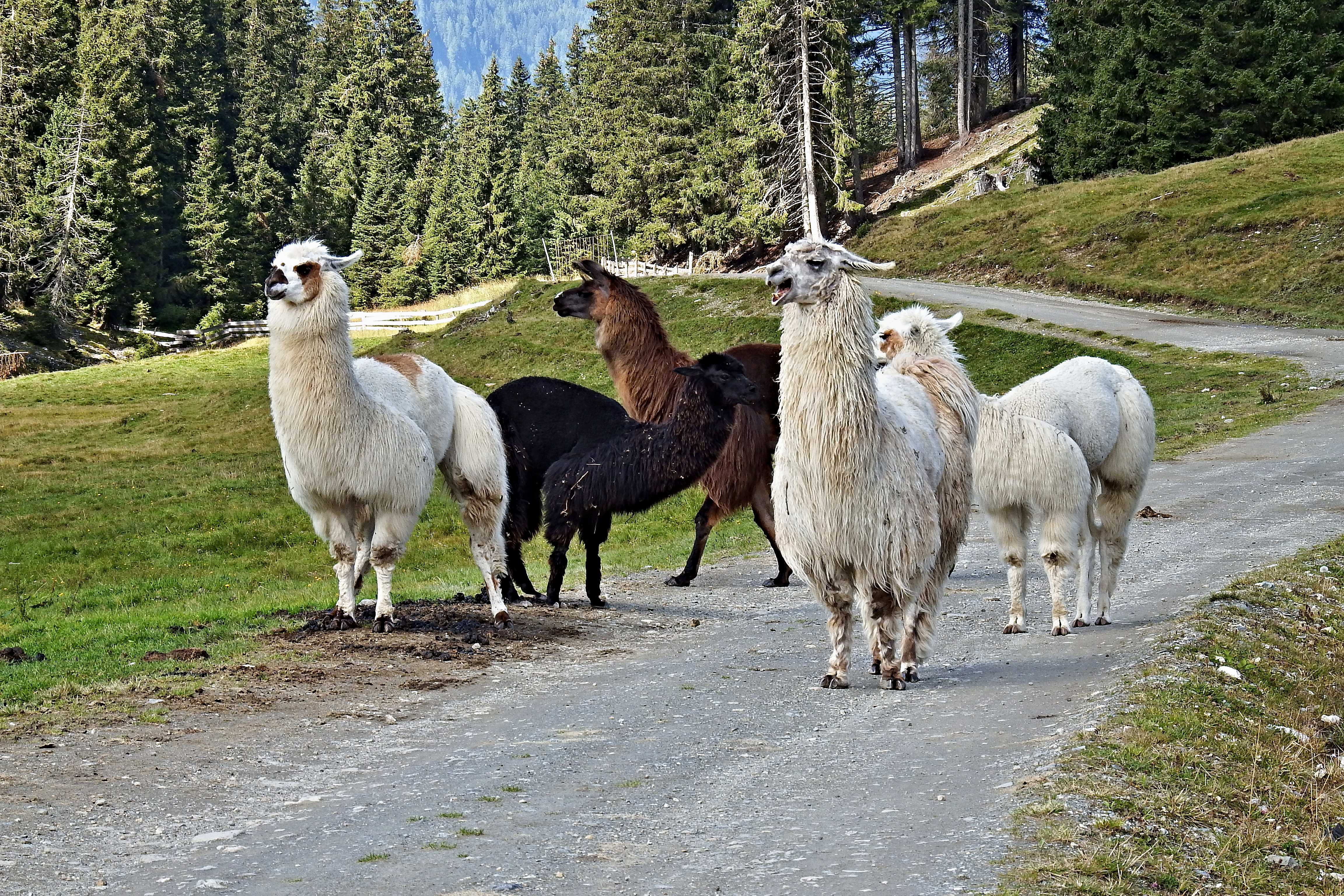   Klick: Zum "Bild 7" 