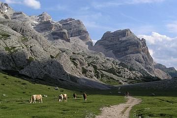 vergrößern / ingrandire 