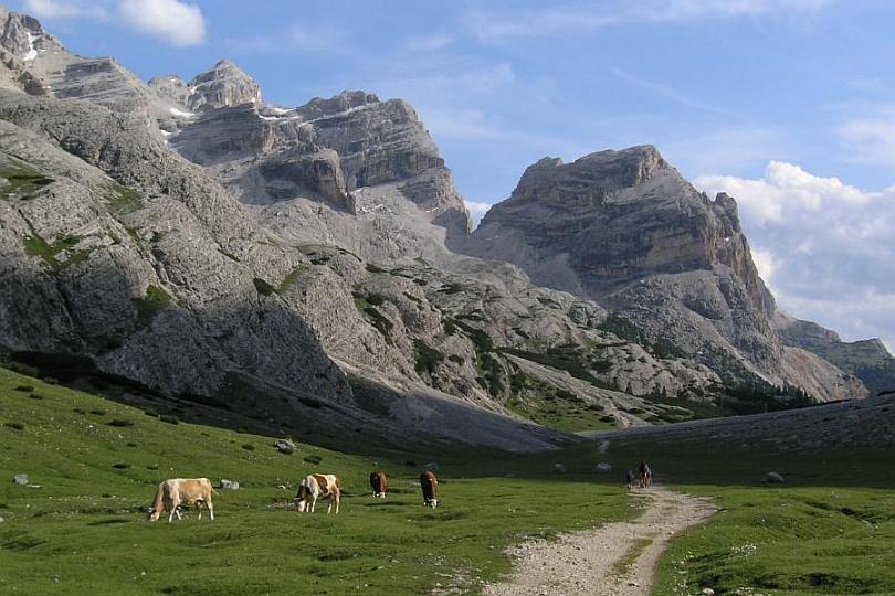  verkleinern / rimpicciolire 