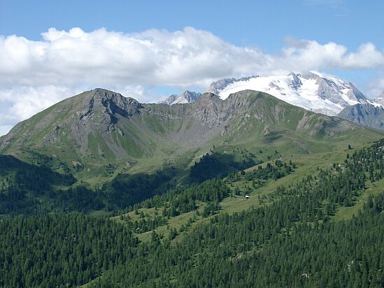  vergrößern / ingrandire 